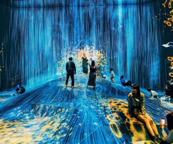 Digital Transformation in Fashion